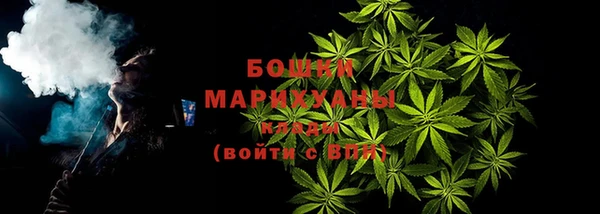 ПСИЛОЦИБИНОВЫЕ ГРИБЫ Верея